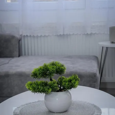 Apartment Jovanovic *